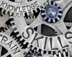 Exceptional Combination of Skills and Experience